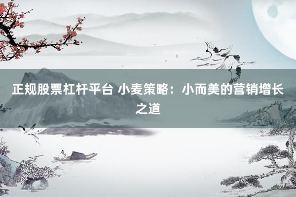 正规股票杠杆平台 小麦策略：小而美的营销增长之道