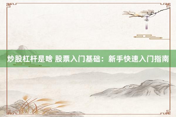 炒股杠杆是啥 股票入门基础：新手快速入门指南