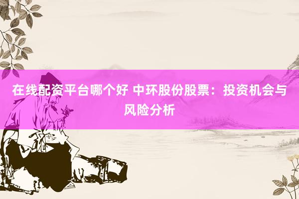在线配资平台哪个好 中环股份股票：投资机会与风险分析