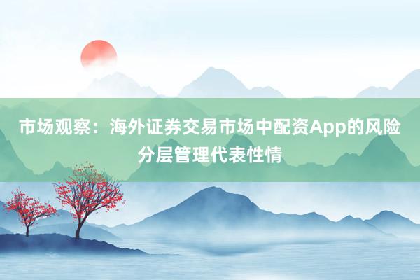市场观察：海外证券交易市场中配资App的风险分层管理代表性情