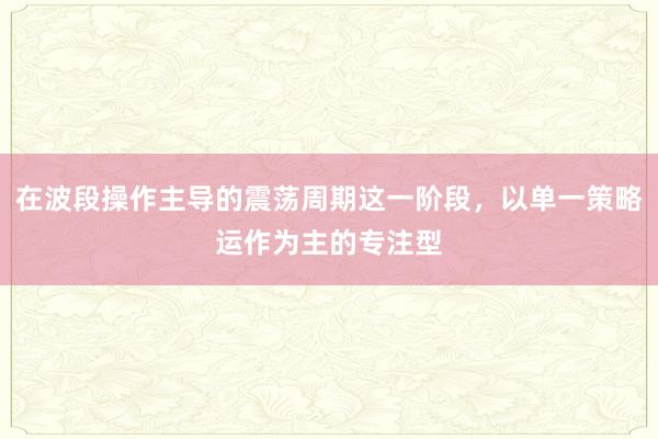 在波段操作主导的震荡周期这一阶段，以单一策略运作为主的专注型