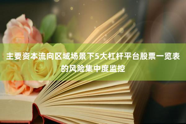主要资本流向区域场景下5大杠杆平台股票一览表的风险集中度监控