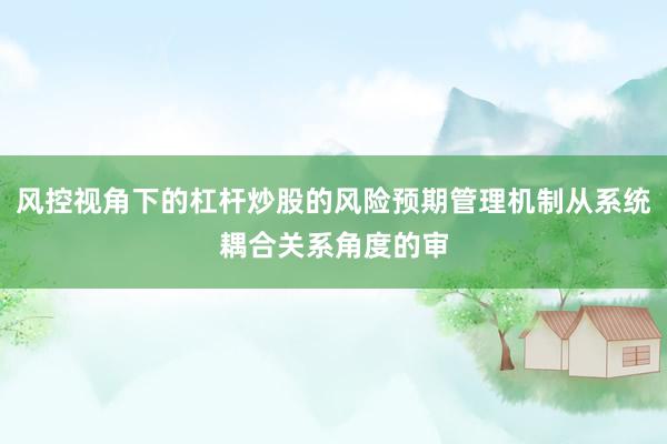 风控视角下的杠杆炒股的风险预期管理机制从系统耦合关系角度的审
