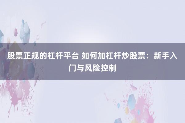 股票正规的杠杆平台 如何加杠杆炒股票：新手入门与风险控制